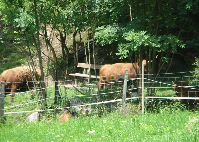 Ferienhaus Höllbacher
