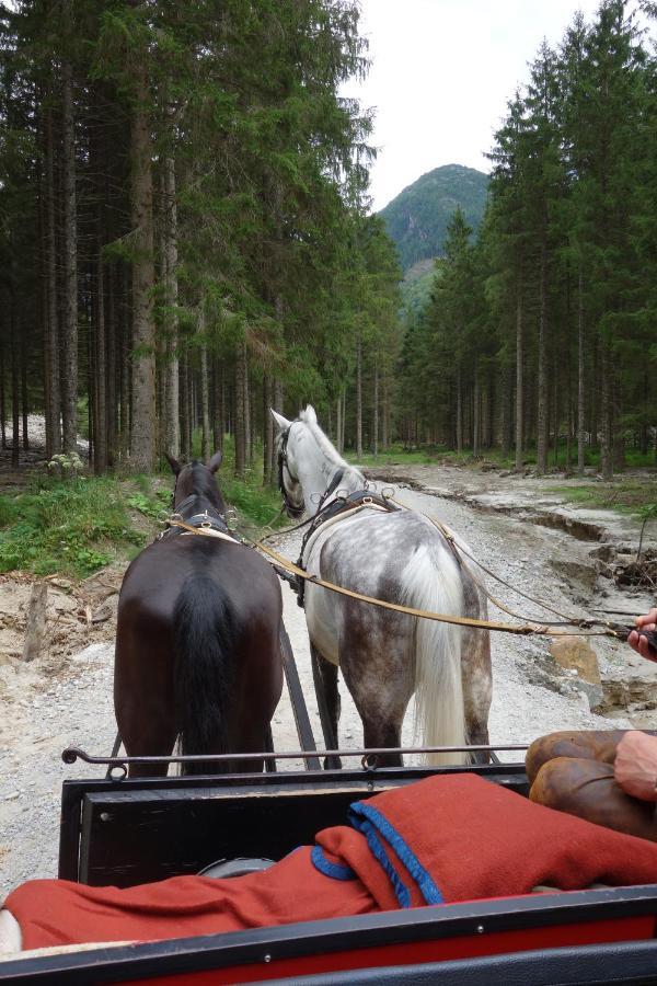 Höllbacher Ferienhaus Bad Gastein