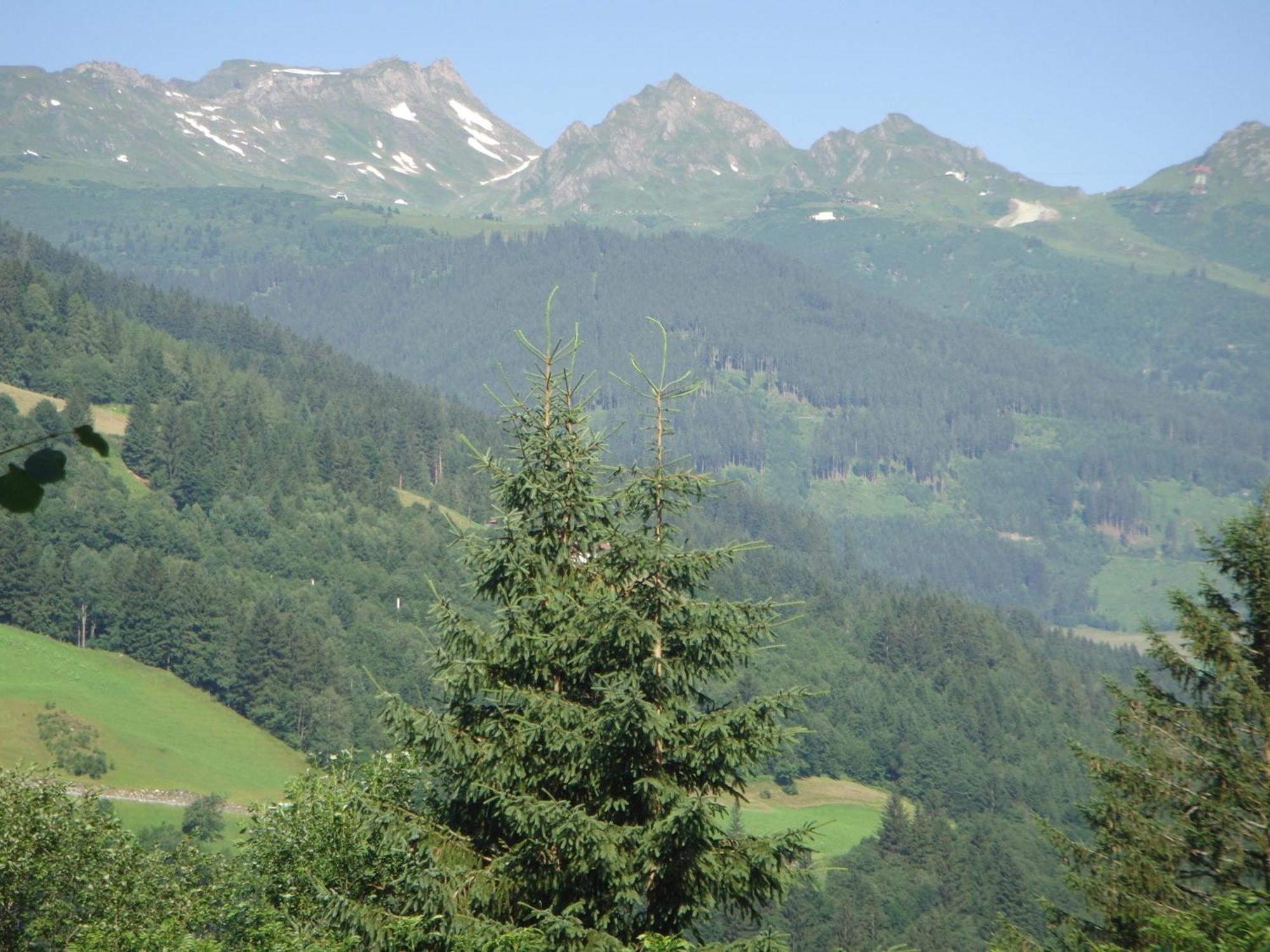 Ferienhaus Höllbacher Bad Gastein