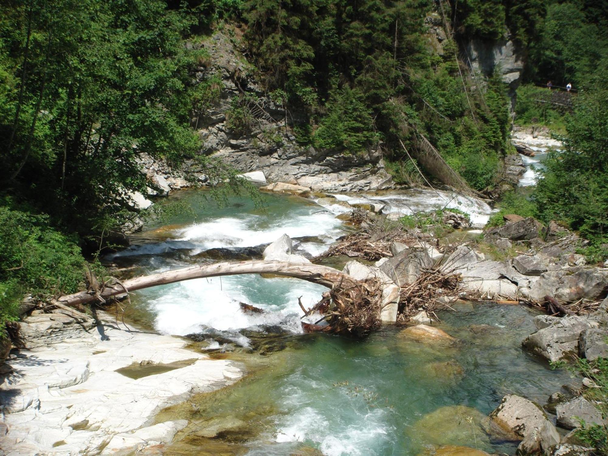 Höllbacher